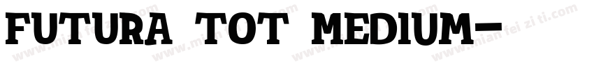 FUTURA TOT Medium字体转换